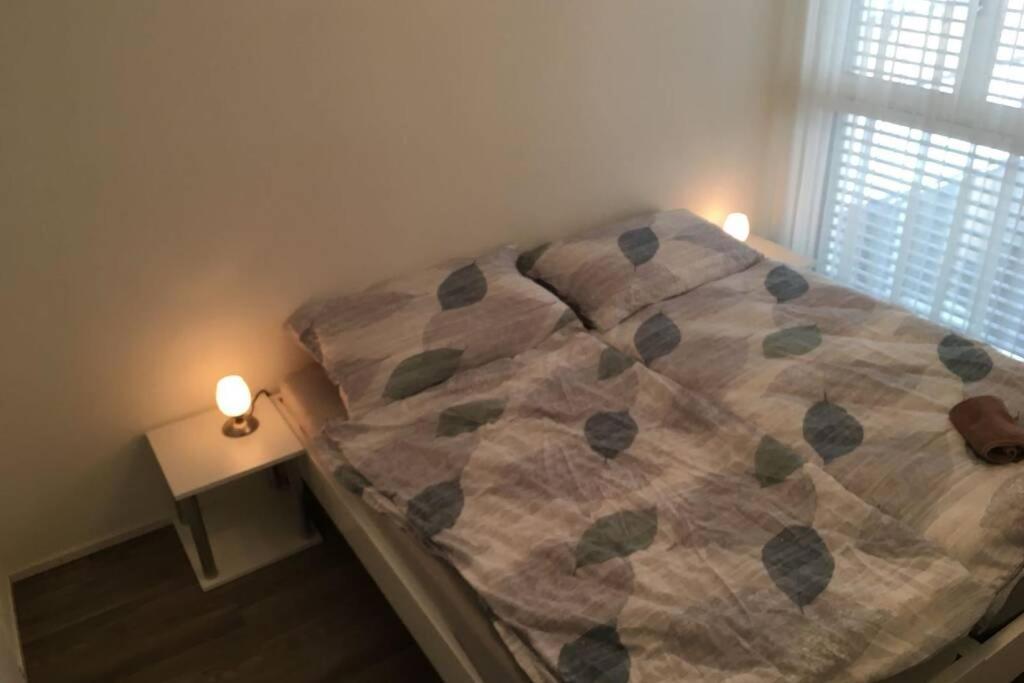 Modern Apartment 모던 펜션 Interlaken Kültér fotó