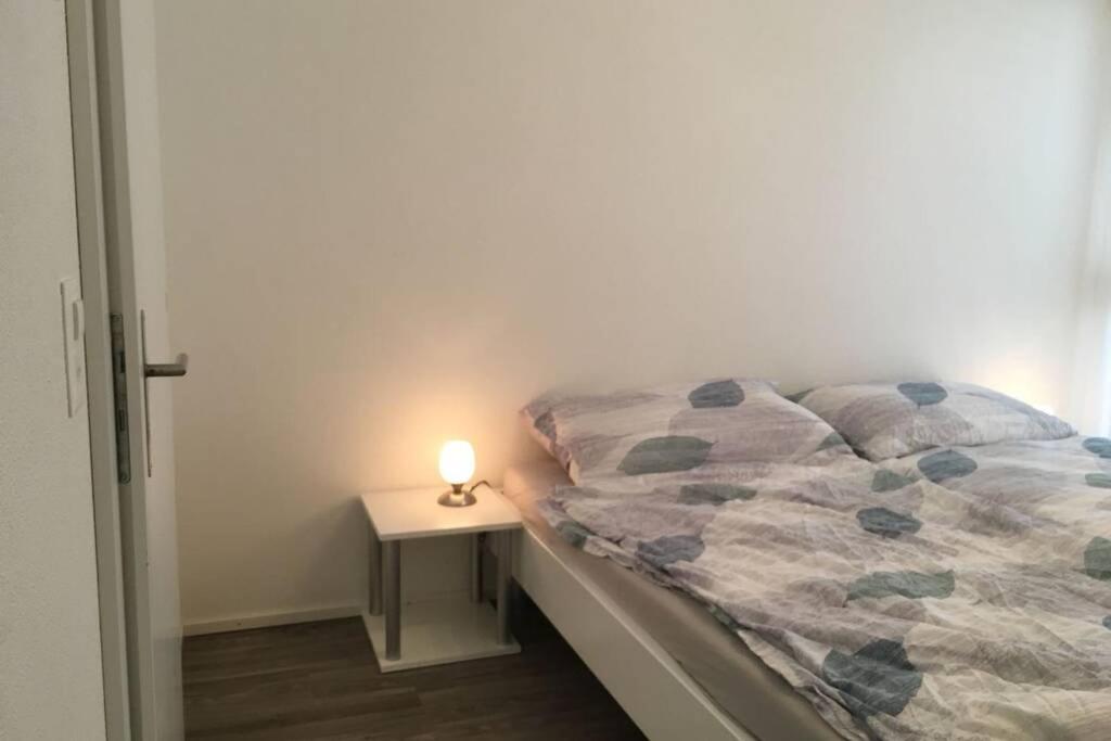 Modern Apartment 모던 펜션 Interlaken Kültér fotó